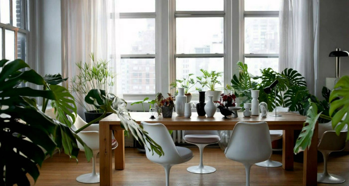 Καρέκλες από σχεδιαστές, όμορφο μοντέρνο τραπέζι και πράσινο σε όλο τον χώρο που εντυπωσιάζει!