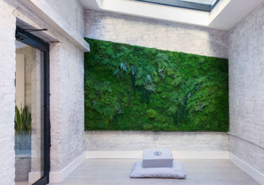 mndfl στούντιο διαλογισμού