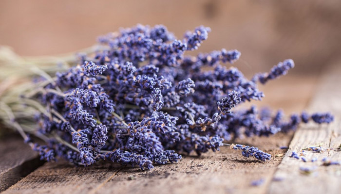 αποξηραμενη λεβαντα