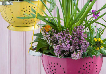 γλαστρες σουρωτηρια