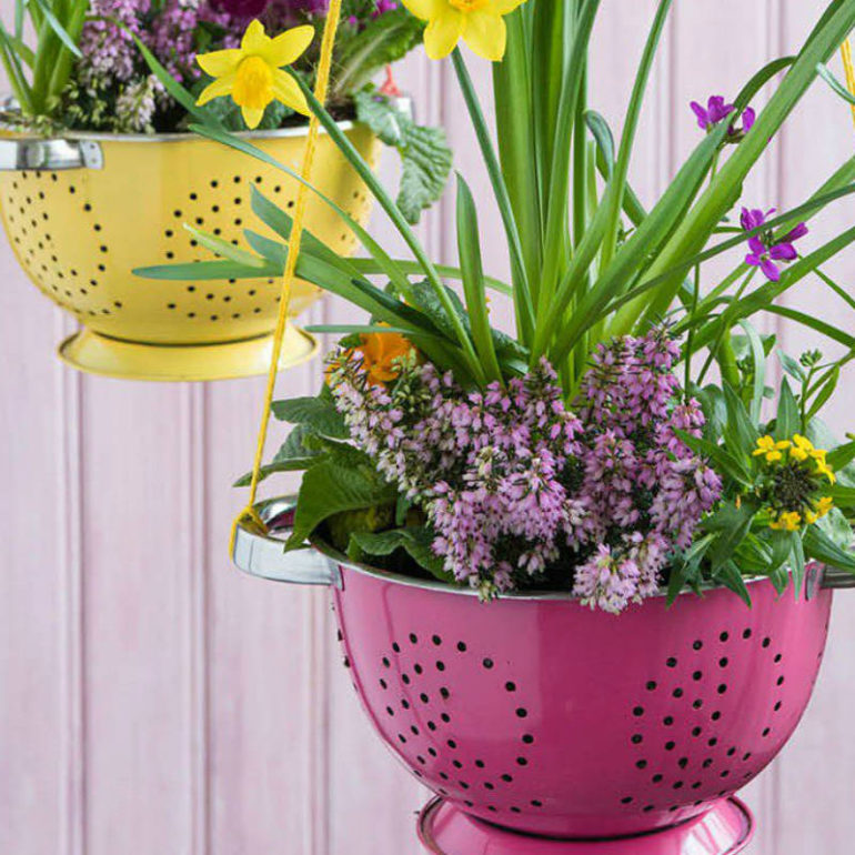 γλαστρες σουρωτηρια