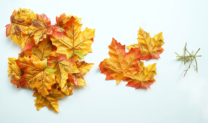 καντο μονος