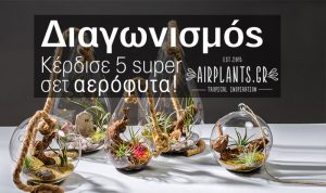 Πάρε μέρος στο διαγωνισμό και ΚΕΡΔΙΣΕ Super αερόφυτα απο την Airplants!