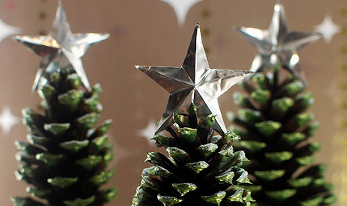 κουκουναρια diy