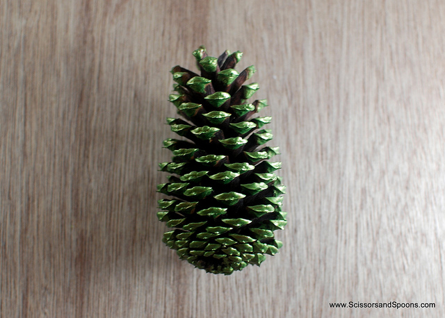 κουκουναρια diy