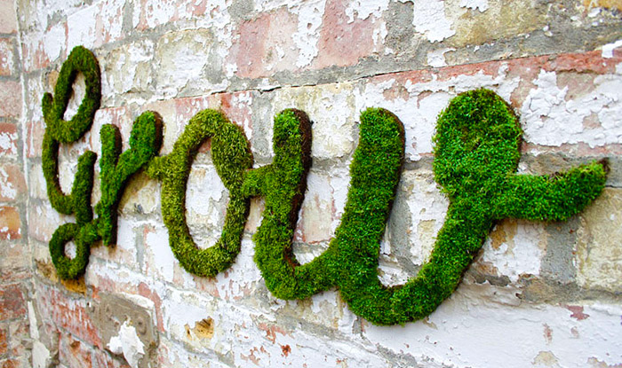 graffiti βρυα moss