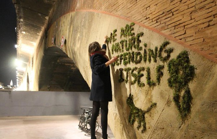 graffiti βρυα moss