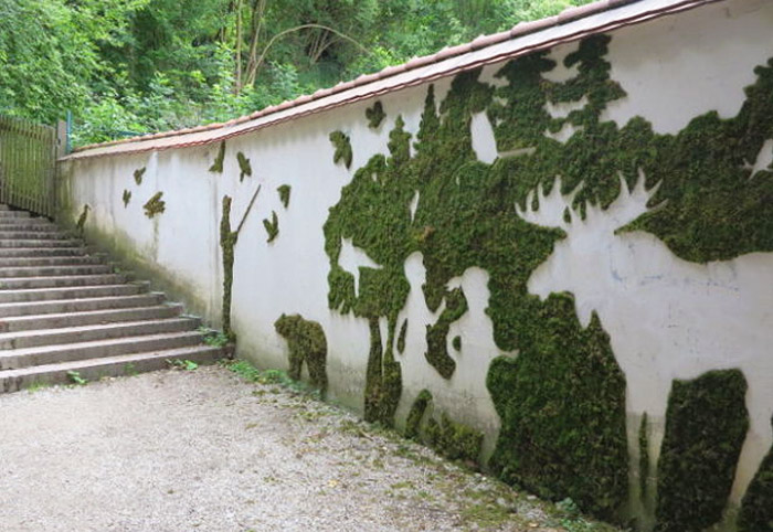 graffiti βρυα moss