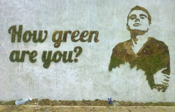 graffiti βρυα moss