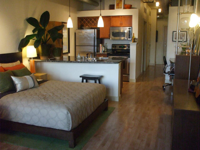 Το φυτό ομορφαίνει αυτόματα όλο τον χώρο!