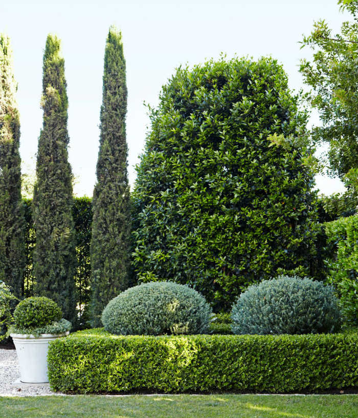 Εδώ παρατηρείς την αγάπη των μινιμαλιστών. Μεγάλη ποσότητα πρασίνου με πύξους (ο πράσινος «φράχτης»), λεβάντα, φίκους και κυπαρίσσια.