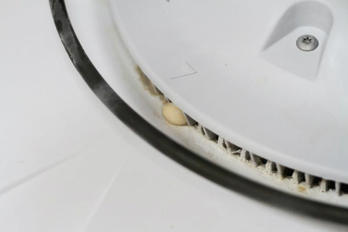 υπολείμματα φαγητού