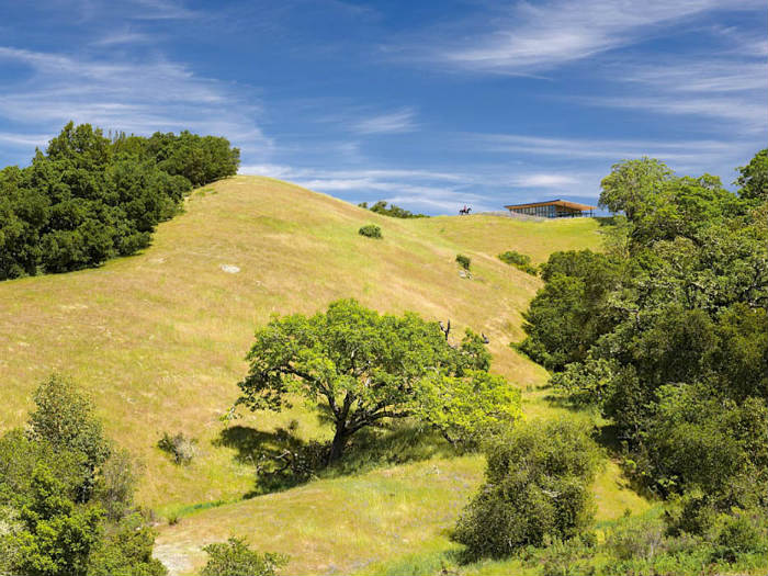 γίνεται ράντσο χωρίς άλογο