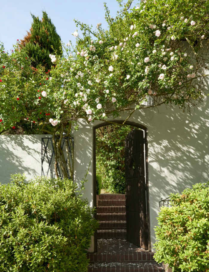 Αναρριχώμενες τριανταφυλλιές πάνω από την αψίδα που οδηγεί στην πισίνα!