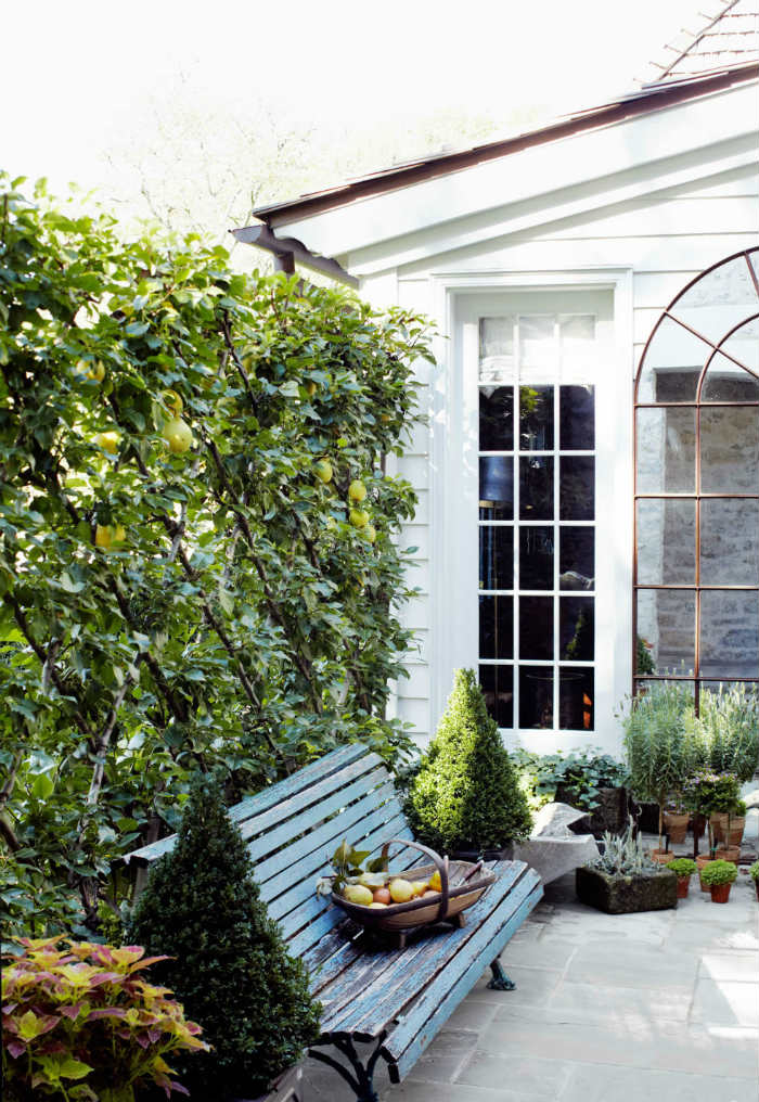 Ένας κρυφός κήπος με αχλαδιές που πιάνονται σε ένα καφασωτό. Οι αχλαδιές κλαδεύονται τακτικά και ουσιαστικά χρησιμεύουν ως φράχτης, ενώ έχουν διατηρηθεί τα χαμηλά κλαδιά τους.