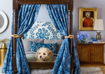 κρεβατι σκυλου