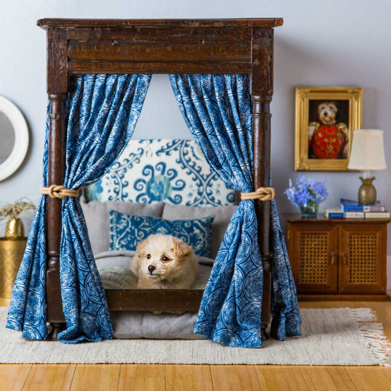 κρεβατι σκυλου