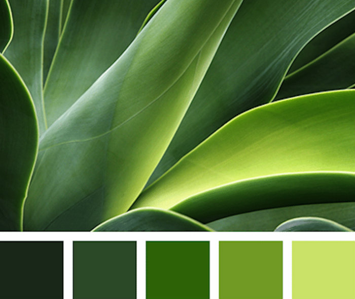 Χρώματα Ανατολικού δωματίου