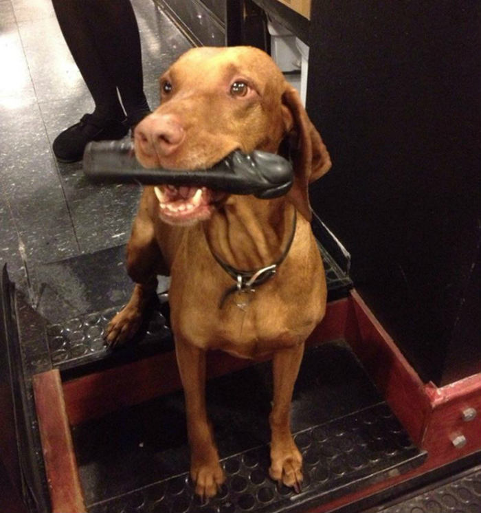 αυτά καλό θα είναι να τα αποφύγουμε