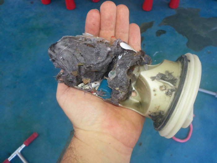 αυτή είναι η παγίδα ή trap