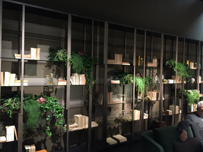 βιβλία και φυτά εσωτερικού χωρου