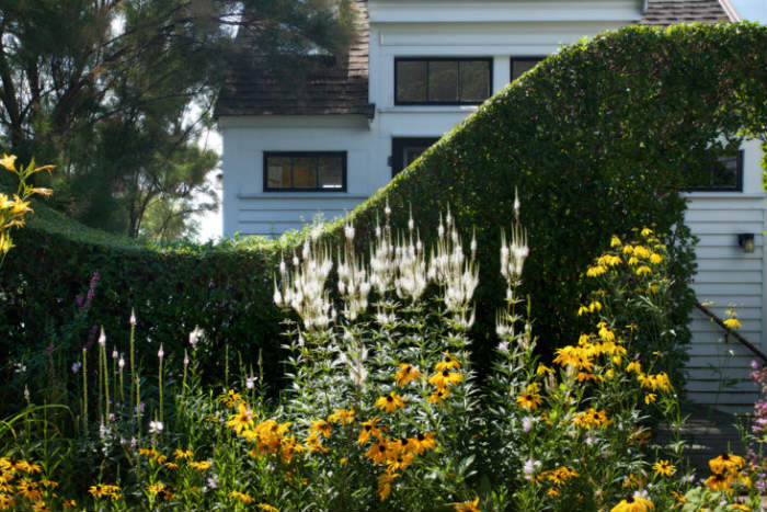 δημιούργησε καμπύλες