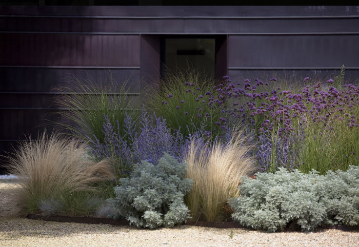 επέλεξε φυτά με διαφορετική υφή