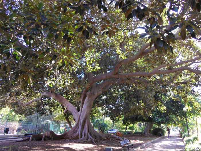 1η παράγραφος