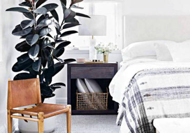 φικος ελαστικα