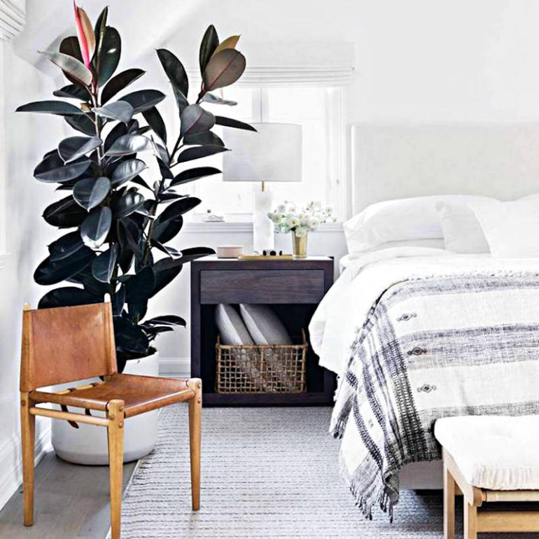 φικος ελαστικα