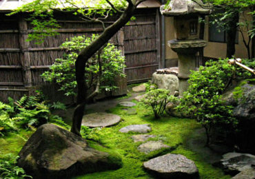 μικρος κηπος διαμορφωση