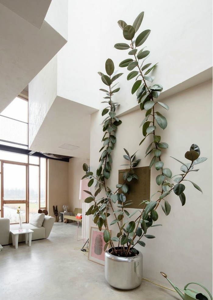 μοντέρνα τέχνη φίκος μινιμαλιστικό σαλόνι