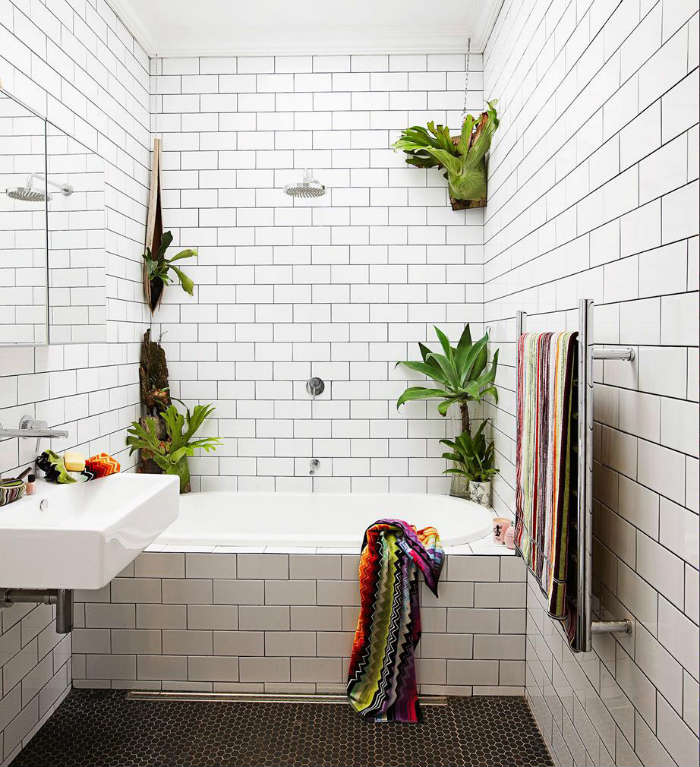 φυτά σε μπάνιο χωρίς παράθυρα