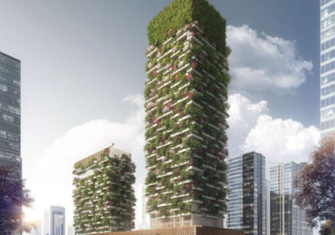 Κάθετα δάση αρχική