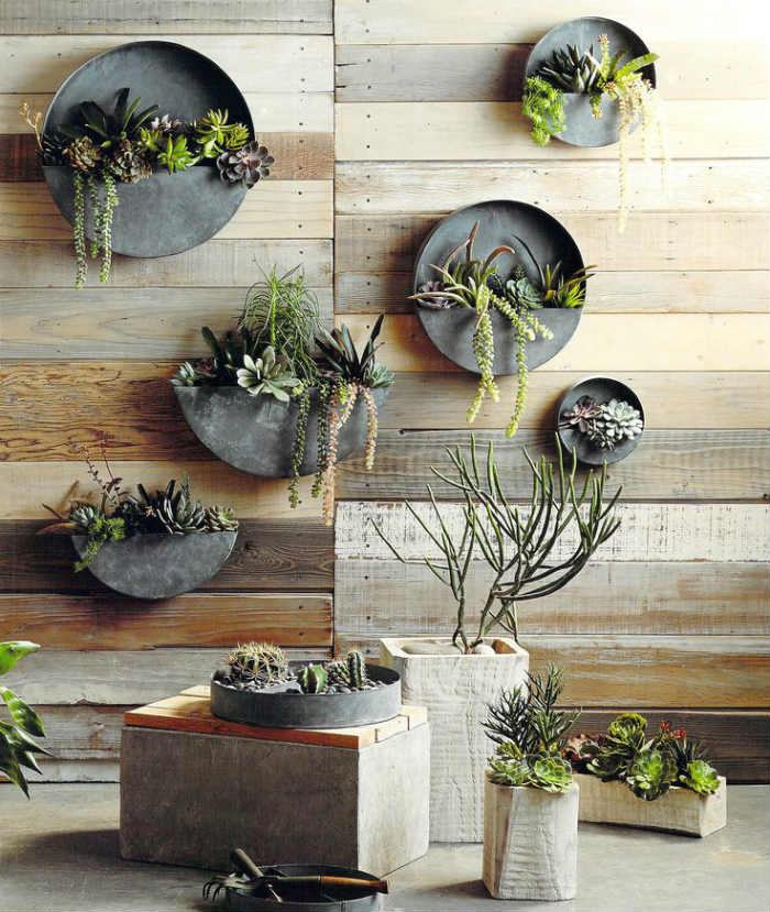 γλάστρες τοίχου