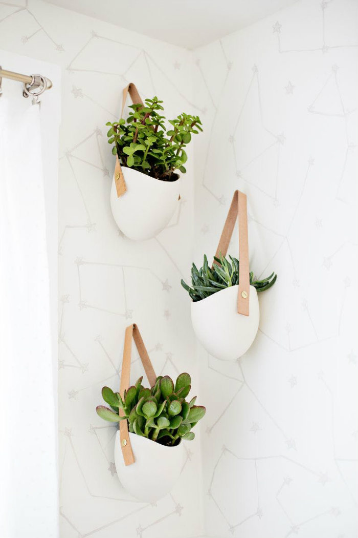 γλαστράκια παχύφυτων