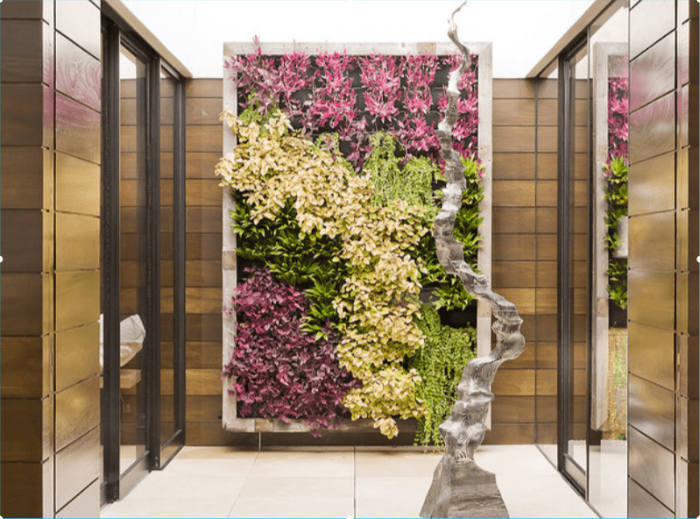 ζωντανός τοίχος στο Manhattan