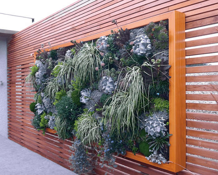 κάθετος κήπος σε πλαίσιο από κέδρο
