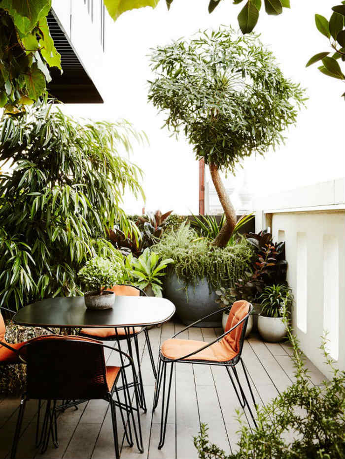 κατάφυτο μπαλκόνι