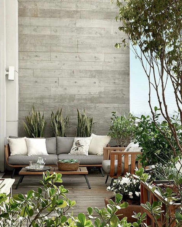 μινιμαλιστικός κήπος με ανθεκτικά φυτά