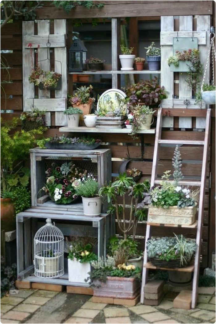 ρομαντική διακόσμηση και φυτά