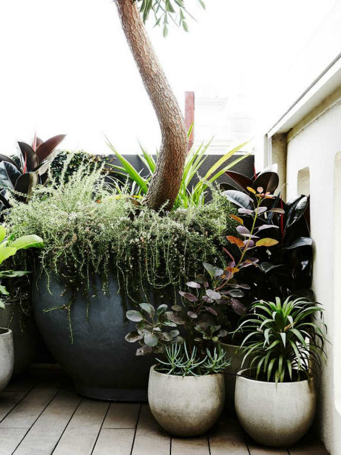 στρογγυλές τσιμεντένιες γλάστρες