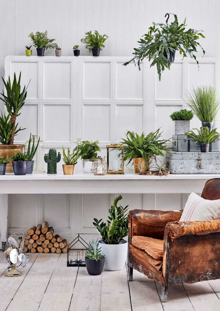 Διακόσμηση με φυτά εσωτερικού χώρου.