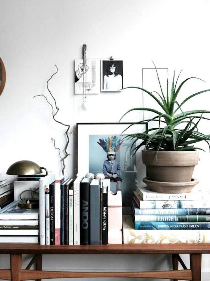 Η Αλόη είναι από τα καλύτερα φυτά για τα εγκαύματα!