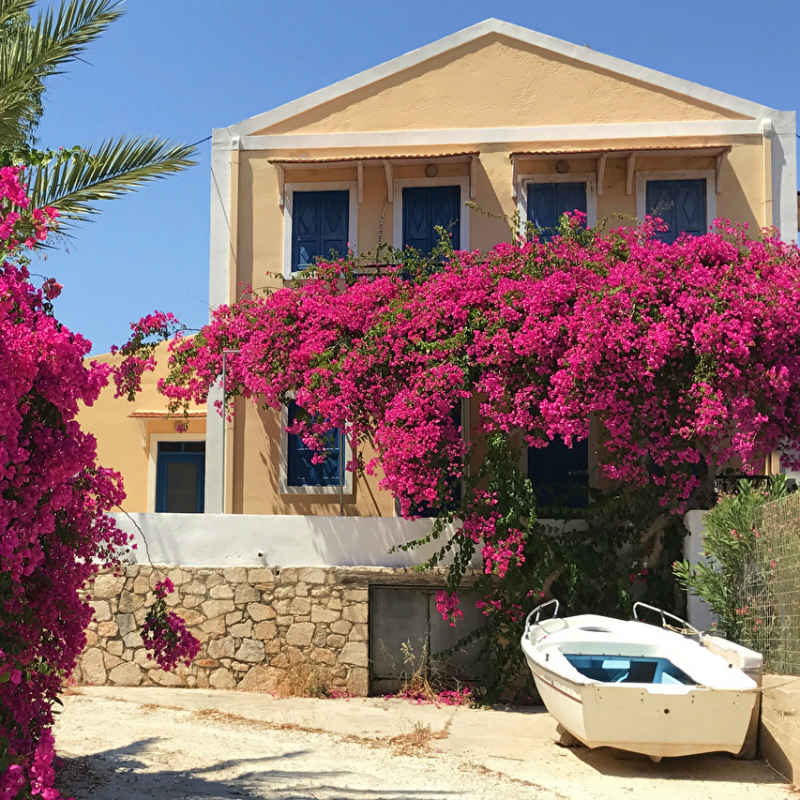 10 ιδέες για παραδοσιακό κήπο ή μπαλκόνι με άρωμα Ελλάδας!