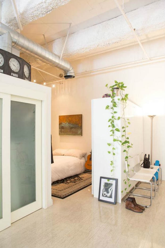 Ο κισσός του Διαβόλου ή Πόθος είναι από τα πιο δημοφιλή και ανθεκτικά φυτά για εσωτερικό χώρο, τόσο σε σπίτια, όσο και σε καταστήματα.