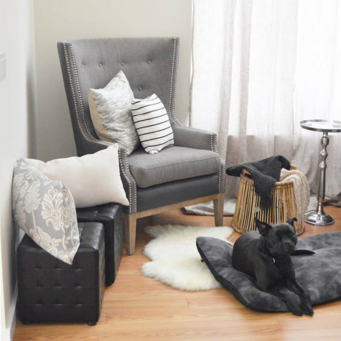 Το ότι το σκυλί ταιριάζει με τις επιλογές χρωματικής παλέτας, πιστεύουμε ότι είναι το επόμενο επίπεδο της υπερβολής!