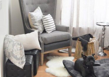 Το ότι το σκυλί ταιριάζει με τις επιλογές χρωματικής παλέτας, πιστεύουμε ότι είναι το επόμενο επίπεδο της υπερβολής!