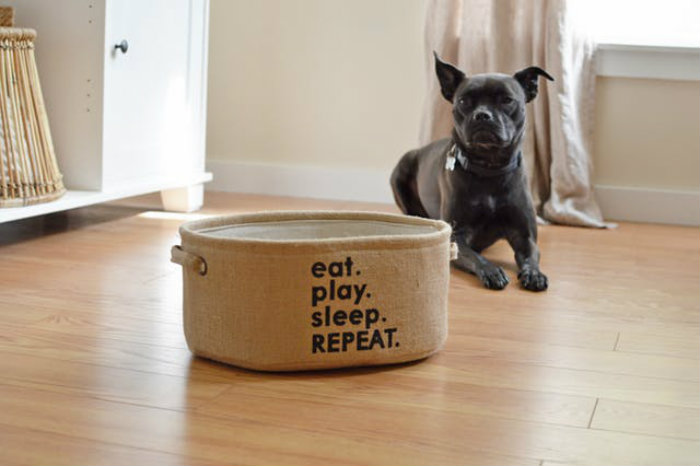 Το κρεβάτι του σκύλου είναι φυσικά στο σαλόνι για να έχει παρέα!