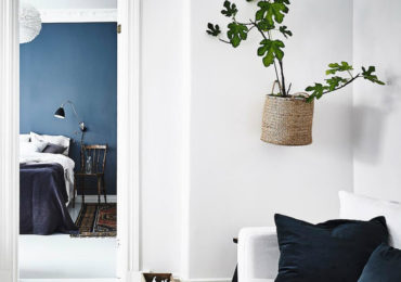 Συκιά κρεμασμένη από ψάθινη θήκη.